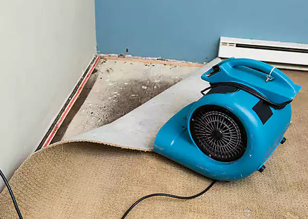 Your Water Damage Experts in Bowdon Junction, GA