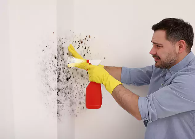 Your Water Mold Fire Restoration Partner in Bowdon Junction, GA