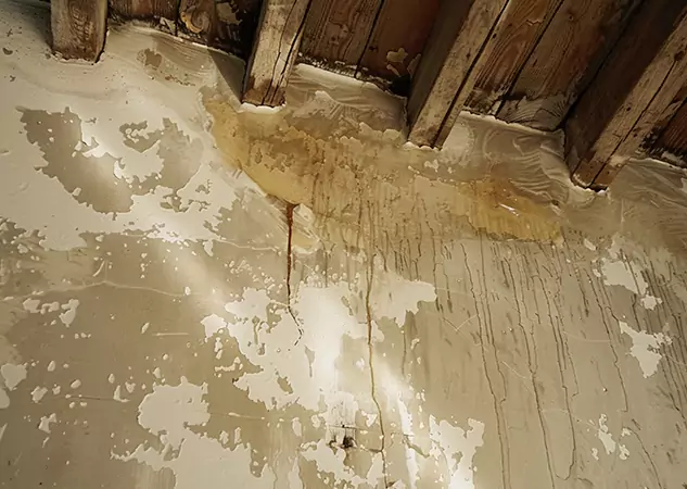 Your Trusted Restoration Company in Bowdon Junction, GA