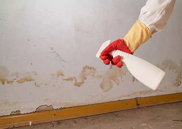 Your Water Restoration and Mold Remediation Specialists in Bowdon Junction, GA