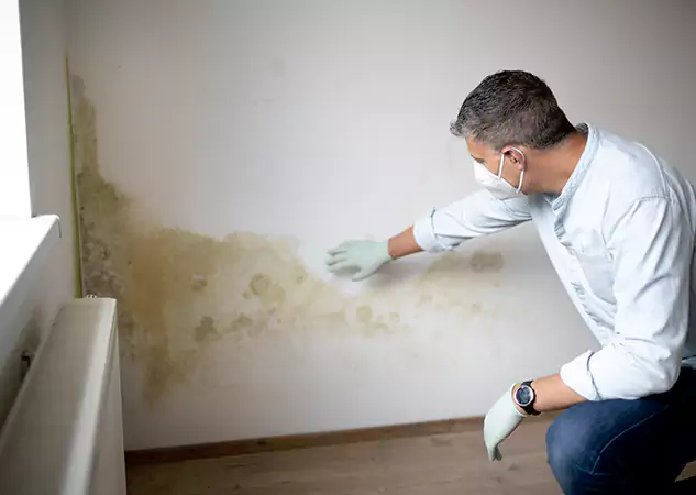 Reach Our Remediation Team Before Damage Grows in Bowdon Junction, GA!