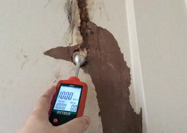 Your Water Damage Assessment Partner in Bowdon Junction, GA