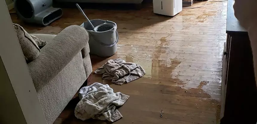 Professional Basement Water Remediation Services in Bowdon Junction, GA