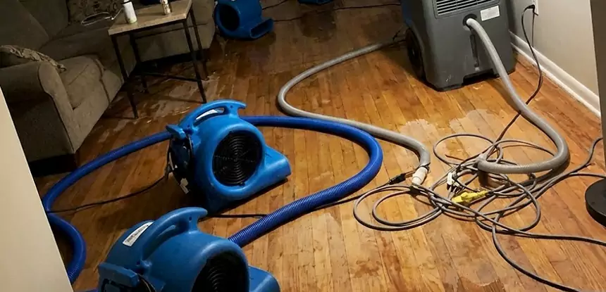 Basement Flood Restoration Services in Bowdon Junction