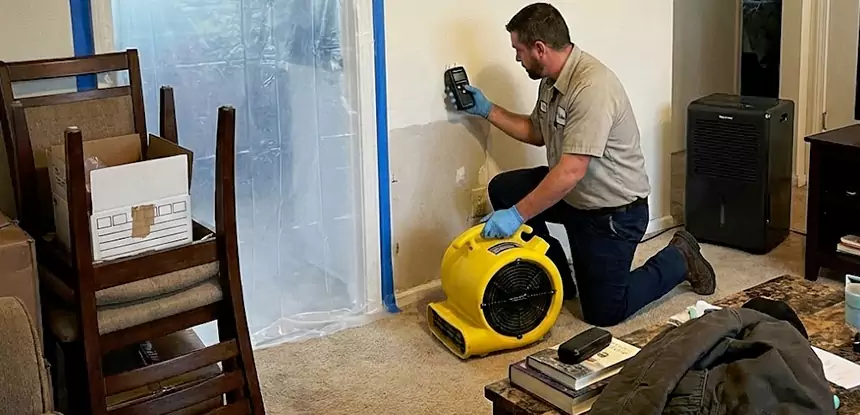 Carpet Water Damage Repair Bowdon Junction