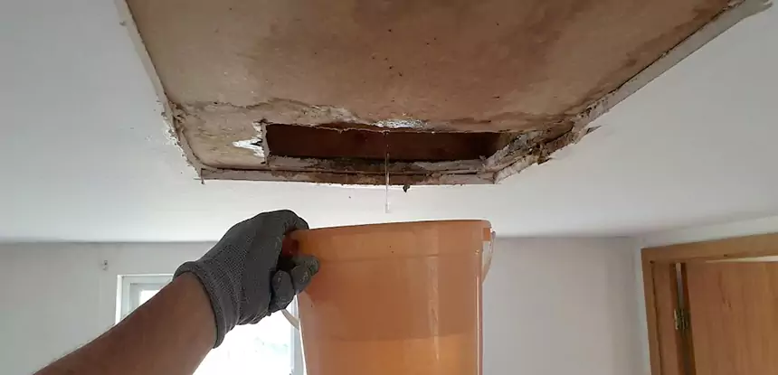 Ceiling Mold Repair Bowdon Junction