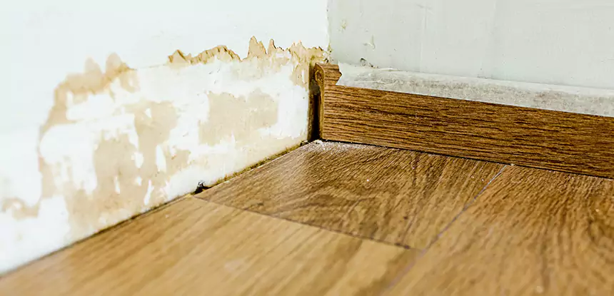 Professional Fix Water Damaged Wood Services in Bowdon Junction, GA