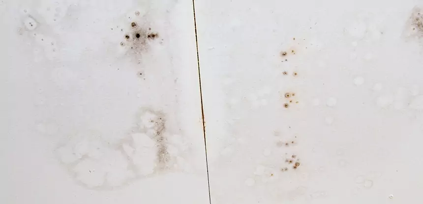 Professional Water Stain Repair Services in Bowdon Junction, GA