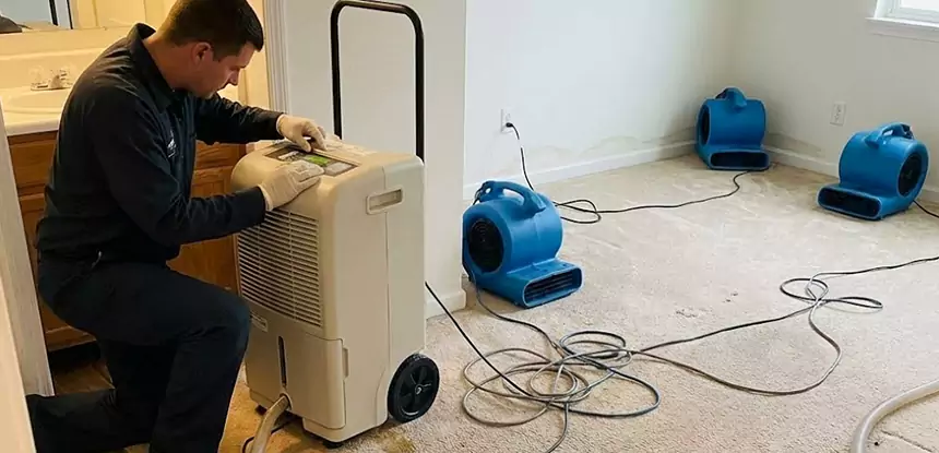 Professional Wet Carpet Removal Services in Bowdon Junction, GA