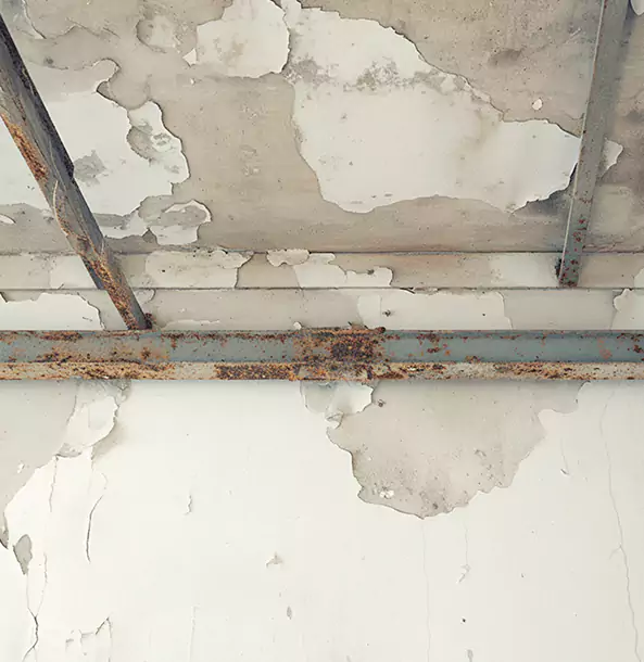 Why Bowdon Junction Restoration Pro Is the Right Choice in Bowdon Junction, GA?