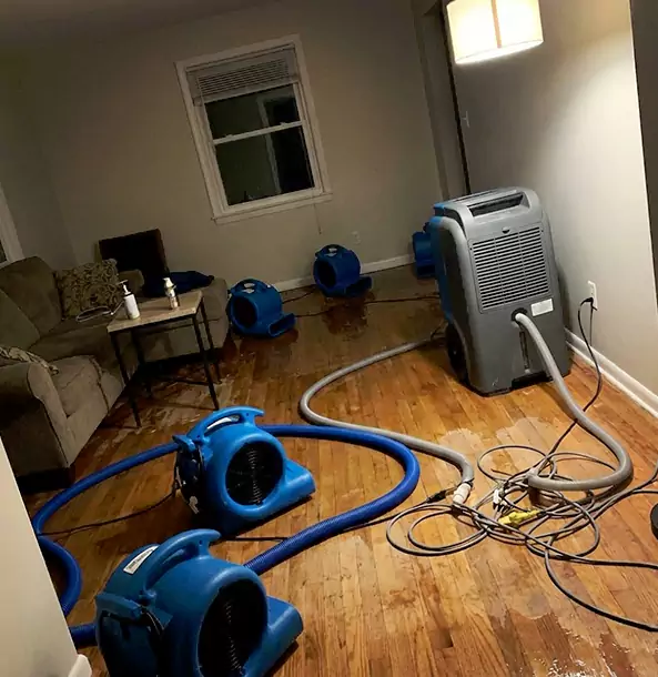 Why Bowdon Junction Property Owners Rely on Bowdon Junction Restoration Pro for Remediation?