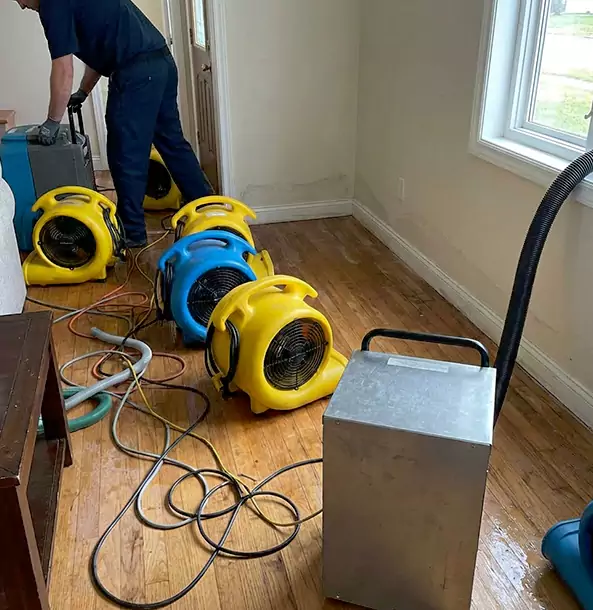 Why Bowdon Junction Property Owners Choose Bowdon Junction Restoration Pro for Remediation?