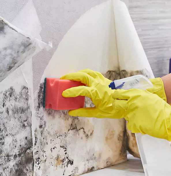 Why Bowdon Junction Trusts Bowdon Junction Restoration Pro for Mold and Water Restoration?