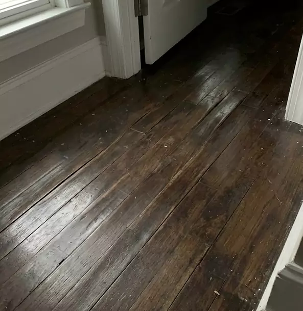Why Bowdon Junction Homeowners Trust Bowdon Junction Restoration Pro to Fix Water Damaged Wood?