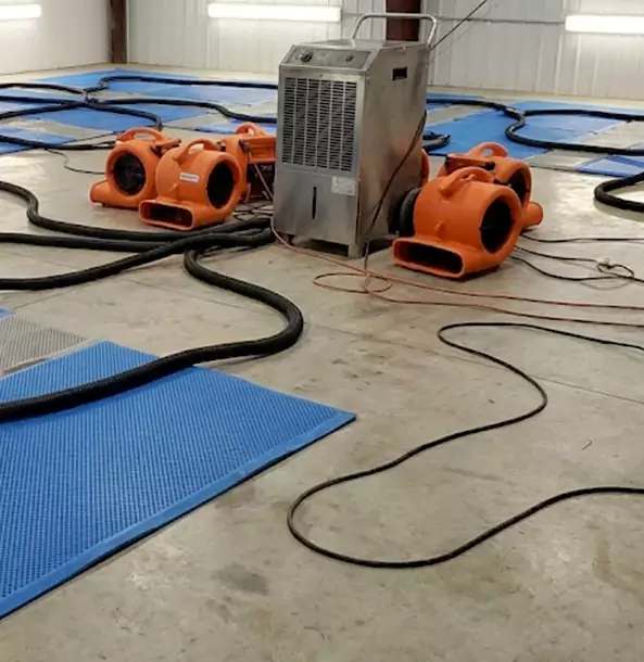 Why Bowdon Junction Homeowners and Businesses Choose Bowdon Junction Restoration Pro for Wet Carpet Removal?