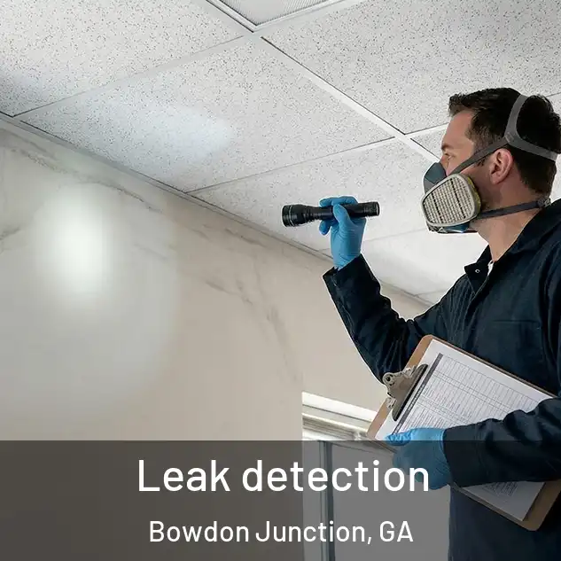  Leak detection Bowdon Junction, GA