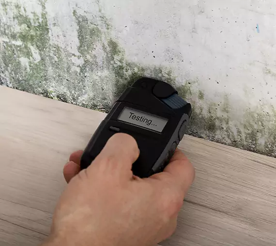 Mold Remediation Service Bowdon Junction