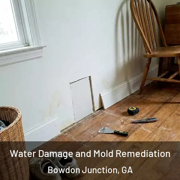  Water Damage and Mold Remediation Bowdon Junction, GA