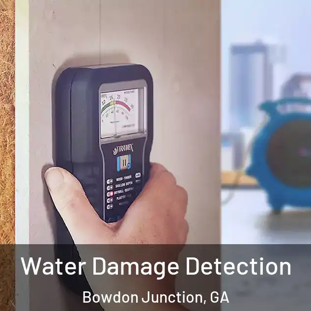  Water Damage Detection Bowdon Junction, GA