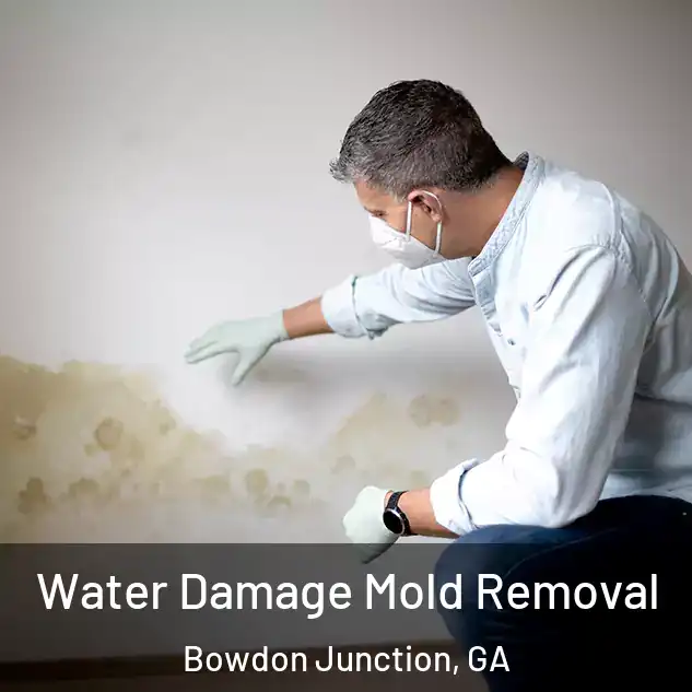  Water Damage Mold Removal Bowdon Junction, GA