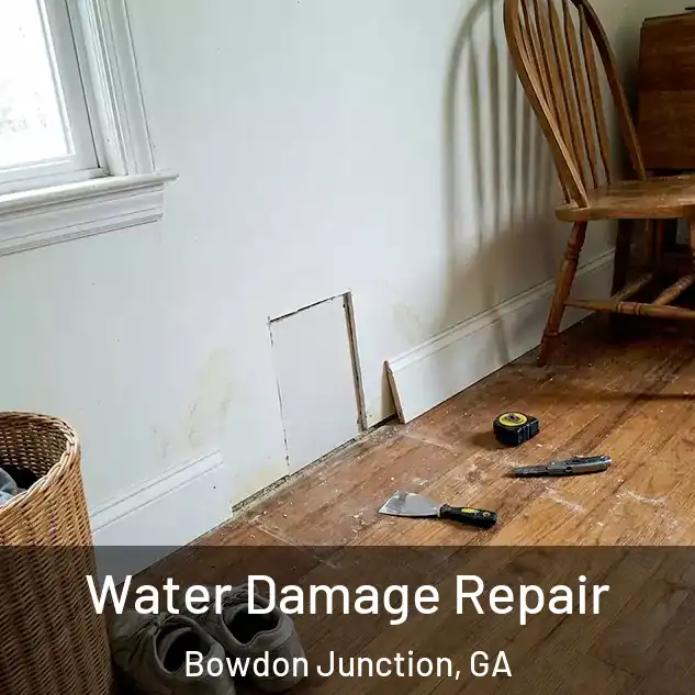  Water Damage Repair Bowdon Junction, GA